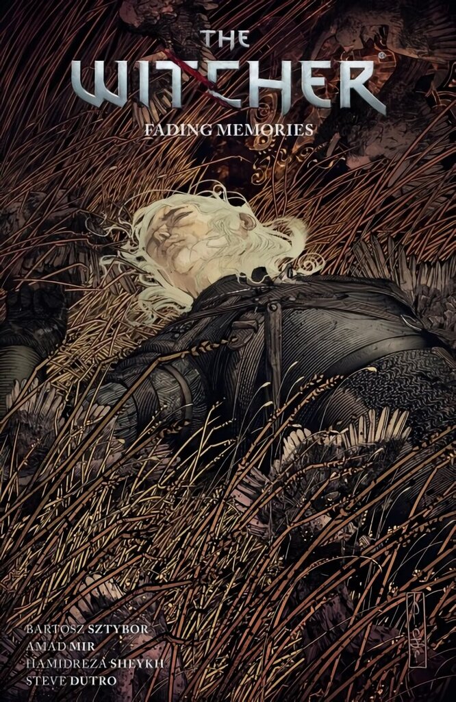 Witcher Volume 5: Fading Memories hind ja info | Fantaasia, müstika | kaup24.ee
