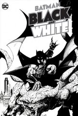 Batman Black & White цена и информация | Фантастика, фэнтези | kaup24.ee