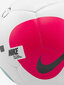 Jalgpall Nike цена и информация | Jalgpalli pallid | kaup24.ee
