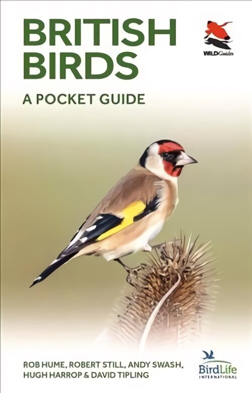 British Birds: A Pocket Guide цена и информация | Tervislik eluviis ja toitumine | kaup24.ee