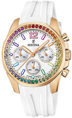 Festina Boyfriend Rainbow 20611/2 hind ja info | Naiste käekellad | kaup24.ee