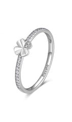 Красивое серебряное кольцо на удачу Rosato Allegra RZA021 цена и информация | Кольцо | kaup24.ee