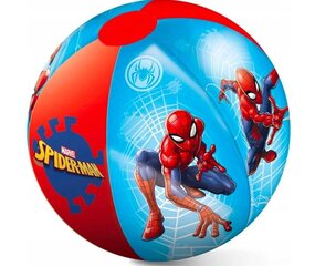 Mondo Rannapall – Spiderman hind ja info | Mondo Sport, puhkus, matkamine | kaup24.ee