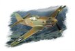 Hobby Boss Plastmudel P-40B / C Hawk-81 hind ja info | Mudelautode kollektsioneerimine | kaup24.ee