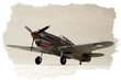 Hobby Boss Plastmudel P-40B / C Hawk-81 hind ja info | Mudelautode kollektsioneerimine | kaup24.ee