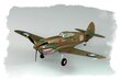 Hobby Boss Plastmudel P-40B / C Hawk-81 hind ja info | Mudelautode kollektsioneerimine | kaup24.ee