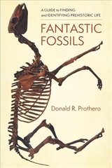 Fantastic Fossils: A Guide to Finding and Identifying Prehistoric Life цена и информация | Книги о питании и здоровом образе жизни | kaup24.ee