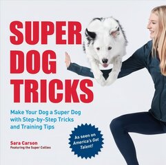 Super Dog Tricks: Make Your Dog a Super Dog with Step by Step Tricks and Training Tips - As Seen on America's Got Talent! цена и информация | Энциклопедии, справочники | kaup24.ee