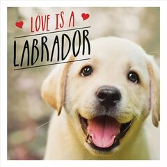 Love is a Labrador: A Lab-Tastic Celebration of the World's Favourite Dog hind ja info | Fotograafia raamatud | kaup24.ee