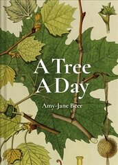 Tree A Day hind ja info | Tervislik eluviis ja toitumine | kaup24.ee