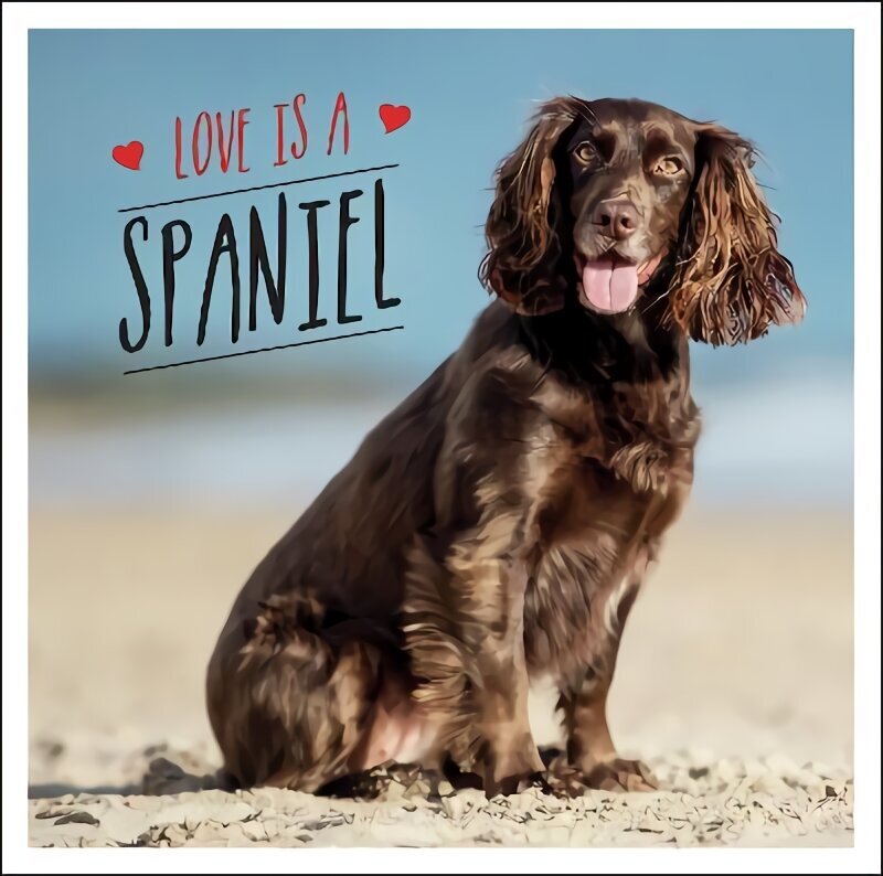 Love is a Spaniel: A Dog-Tastic Celebration of the World's Most Lovable Breed hind ja info | Fotograafia raamatud | kaup24.ee