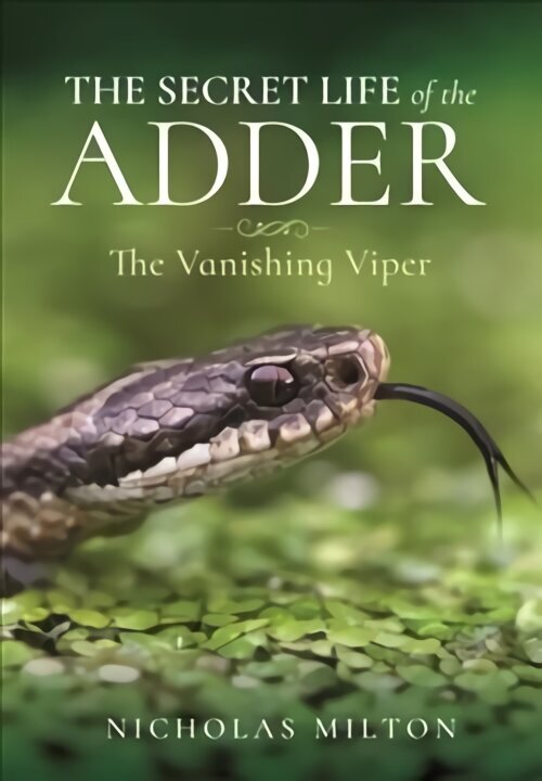 Secret Life of the Adder: The Vanishing Viper hind ja info | Entsüklopeediad, teatmeteosed | kaup24.ee