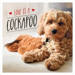 Love is a Cockapoo: A Dog-Tastic Celebration of the World's Cutest Breed цена и информация | Книги по фотографии | kaup24.ee