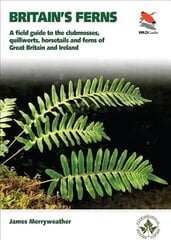 Britain's Ferns: A Field Guide to the Clubmosses, Quillworts, Horsetails and Ferns of Great Britain and Ireland цена и информация | Книги о питании и здоровом образе жизни | kaup24.ee