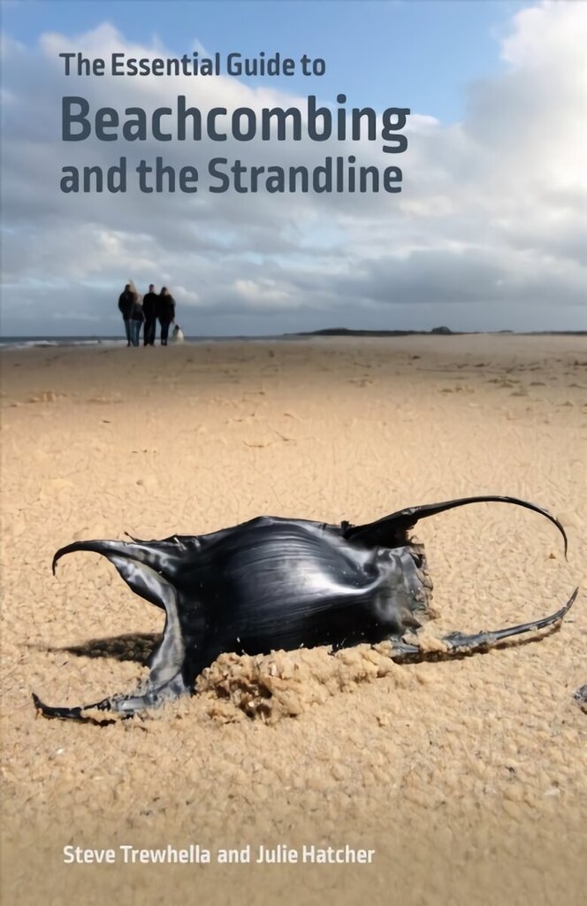 Essential Guide to Beachcombing and the Strandline цена и информация | Tervislik eluviis ja toitumine | kaup24.ee