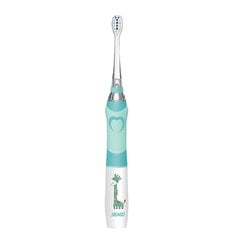Elektriline hambahari Seago Sonic toothbrush SG-977 (green) цена и информация | Электрические зубные щетки | kaup24.ee