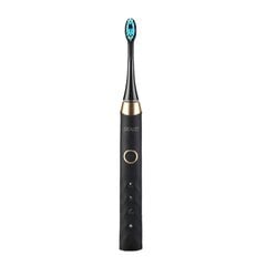 Seago Sonic toothbrush SG-987 (black) цена и информация | Электрические зубные щетки | kaup24.ee