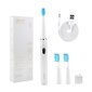 Elektriline hambahari Seago Sonic toothbrush SG-551 (white) hind ja info | Elektrilised hambaharjad | kaup24.ee