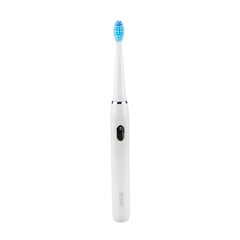 Seago Sonic toothbrush SG-551 (white) цена и информация | Электрические зубные щетки | kaup24.ee