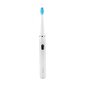 Elektriline hambahari Seago Sonic toothbrush SG-551 (white) hind ja info | Elektrilised hambaharjad | kaup24.ee