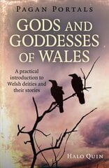 Pagan Portals - Gods and Goddesses of Wales: A practical introduction to Welsh deities and their stories цена и информация | Путеводители, путешествия | kaup24.ee