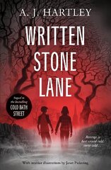 Written Stone Lane цена и информация | Книги для подростков и молодежи | kaup24.ee