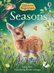 Seasons цена и информация | Книги для малышей | kaup24.ee