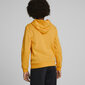 Poiste džemper Puma Ess+ 2Col Big Logo Yellow 586987 39 586987 39/164 цена и информация | Poiste kampsunid, vestid ja jakid | kaup24.ee