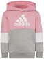 Tüdrukute spordikostüüm Adidas Lk Cb Fl Ts Grey Pink HU0430 HU0430/104 hind ja info | Komplektid tüdrukutele | kaup24.ee