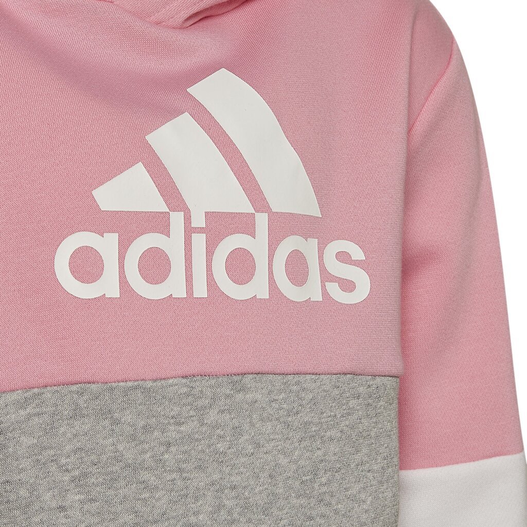 Tüdrukute spordikostüüm Adidas Lk Cb Fl Ts Grey Pink HU0430 HU0430/104 hind ja info | Komplektid tüdrukutele | kaup24.ee