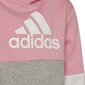 Tüdrukute spordikostüüm Adidas Lk Cb Fl Ts Grey Pink HU0430 HU0430/104 hind ja info | Komplektid tüdrukutele | kaup24.ee