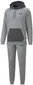 Meeste spordikostüüm Puma Hooded Sweat Suit Grey 670034 03 670034 03/L hind ja info | Meeste spordiriided | kaup24.ee