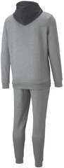 Meeste spordikostüüm Puma Hooded Sweat Suit Grey 670034 03 670034 03/L цена и информация | Мужская спортивная одежда | kaup24.ee