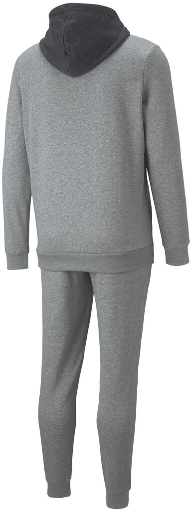 Meeste spordikostüüm Puma Hooded Sweat Suit Grey 670034 03 670034 03/L цена и информация | Meeste spordiriided | kaup24.ee