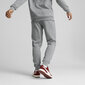 Meeste spordikostüüm Puma Hooded Sweat Suit Grey 670034 03 670034 03/L цена и информация | Meeste spordiriided | kaup24.ee