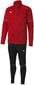 Poiste spordikostüüm Puma Teamgoal Tracksuit Black Red 656809 01 656809 01/176 цена и информация | Komplektid poistele | kaup24.ee