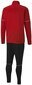 Poiste spordikostüüm Puma Teamgoal Tracksuit Black Red 656809 01 656809 01/176 цена и информация | Komplektid poistele | kaup24.ee
