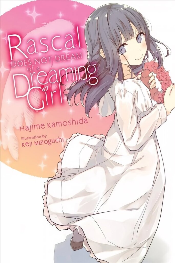 Rascal Does Not Dream of a Dreaming Girl (light novel) hind ja info | Noortekirjandus | kaup24.ee