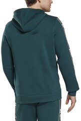 Мужской джемпер Reebok Ri TAPE Oth Hoodie Green HJ7840 HJ7840/M цена и информация | Мужские толстовки | kaup24.ee