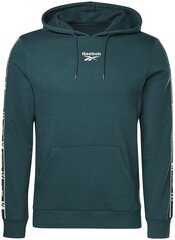 Мужской джемпер Reebok Ri TAPE Oth Hoodie Green HJ7840 HJ7840/M цена и информация | Мужские толстовки | kaup24.ee