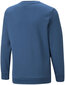 Poiste džemper Puma Ess+ 2 Col Big Logo Blue 586986 17 586986 17/152 hind ja info | Poiste kampsunid, vestid ja jakid | kaup24.ee