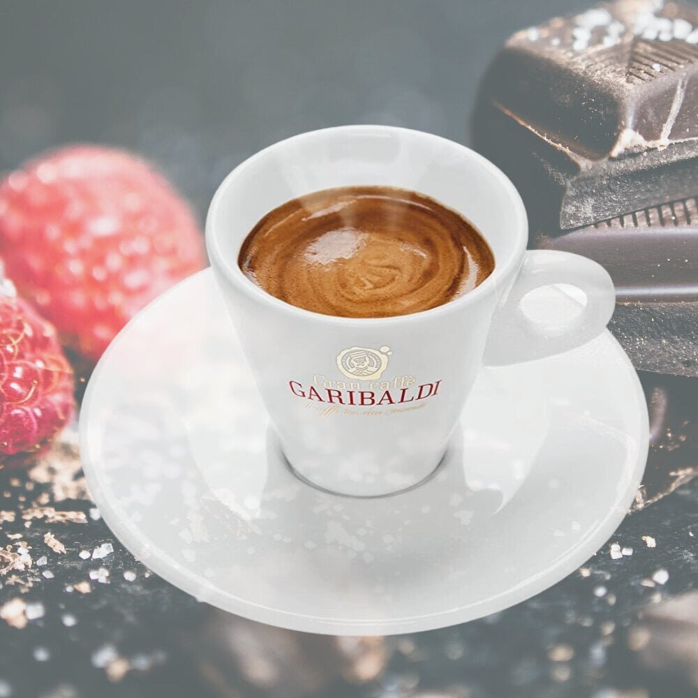 Kohvikapslid Gran Caffe Garibaldi - Aroma, Nespresso® kohvimasinatele, 50 tk цена и информация | Kohv, kakao | kaup24.ee