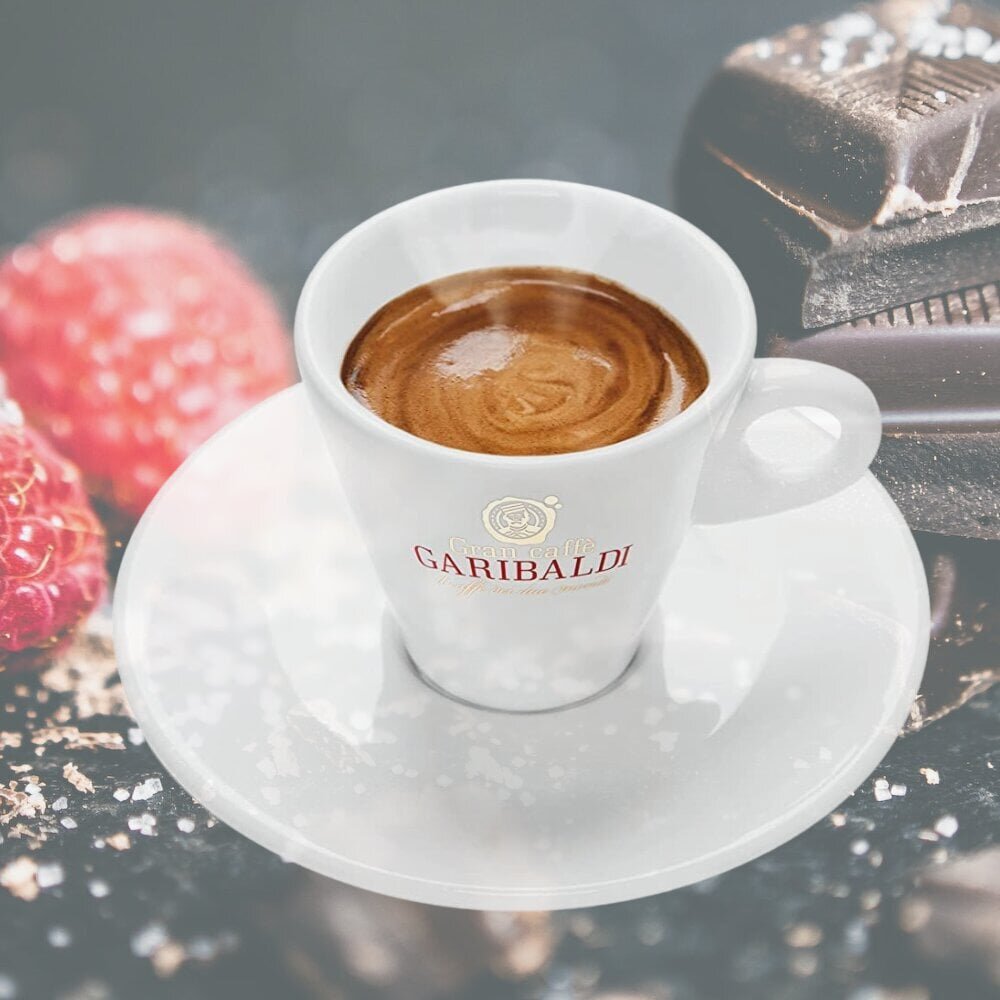 Kohvikapslid Gran Caffe Garibaldi - Top Bar, Nespresso® kohvimasinatele, 50 tk цена и информация | Kohv, kakao | kaup24.ee