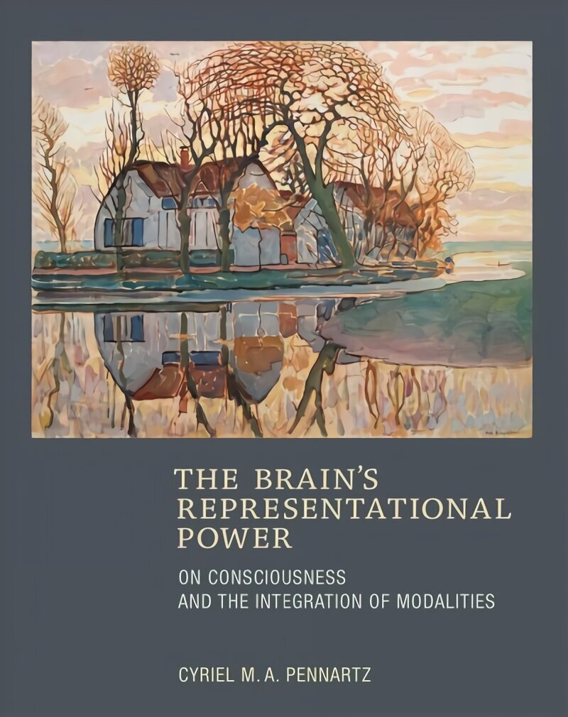 Brain's Representational Power: On Consciousness and the Integration of Modalities цена и информация | Majandusalased raamatud | kaup24.ee