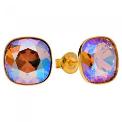 Naiste kõrvarõngad Diamond Sky „Glare (Light Colorado Topaz Shimmer)“ koos Swarovski kristallidega DS02A382 hind ja info | Kõrvarõngad | kaup24.ee