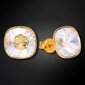 Naiste kõrvarõngad Diamond Sky „Glare (Golden Shadow)“ koos Swarovski kristallidega DS02A380 hind ja info | Kõrvarõngad | kaup24.ee