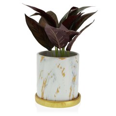 Taimepott Versa marmor keraamiline (13,8 x 14,5 x 13,8 cm) hind ja info | Dekoratiivsed lillepotid | kaup24.ee