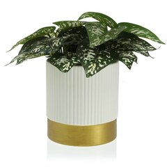 Taimepott Versa valge keraamiline (16 x 17 x 16 cm) hind ja info | Dekoratiivsed lillepotid | kaup24.ee