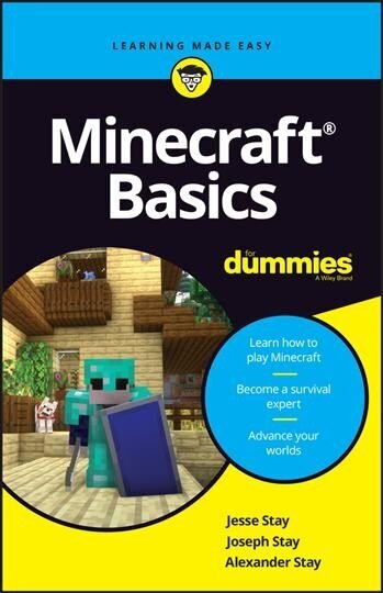 Minecraft Basics For Dummies hind ja info | Majandusalased raamatud | kaup24.ee