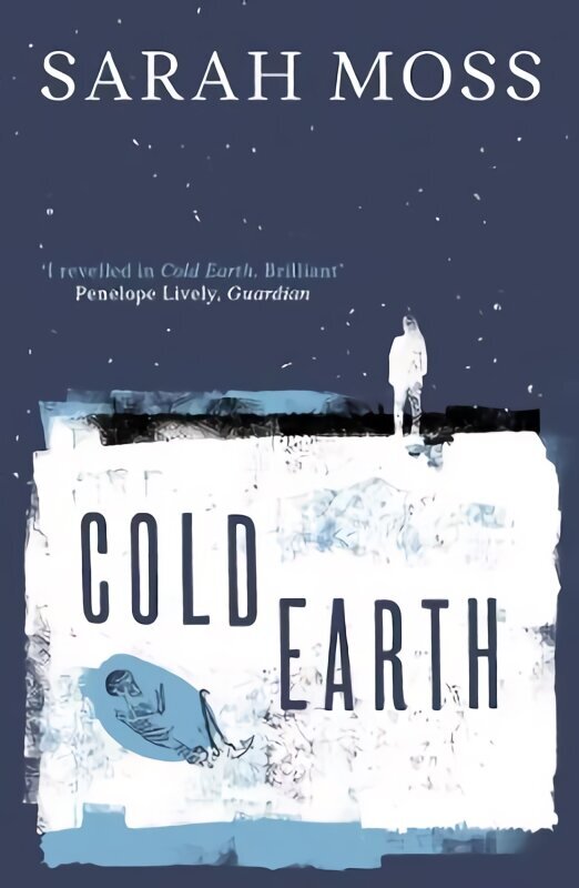 Cold Earth цена и информация | Fantaasia, müstika | kaup24.ee